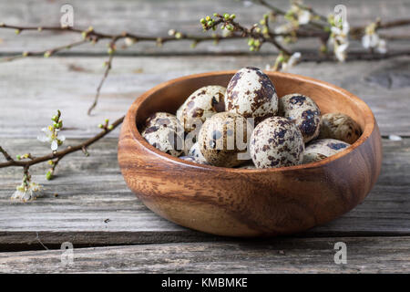 Hölzerne Schüssel von der Wachtel Eier mit Blüte Zweig über alte Holz- Hintergrund Stockfoto