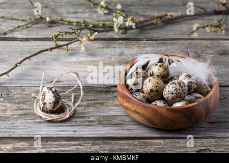 Hölzerne Schüssel von der Wachtel Eier mit Blüte Zweig über alte Holz- Hintergrund Stockfoto