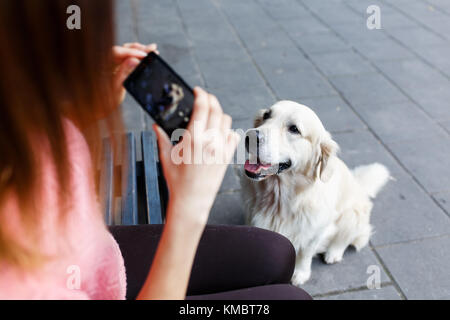 Bild der Frau auf der Werkbank fotografieren Hund im Sommer Park. Stockfoto