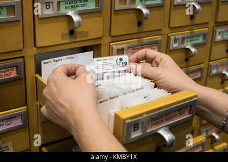 Tucson, Arizona - der Pima County Public Library unterhält eine Seed-anordnung in einer alten Karte Katalog Datei. Gärtner können Sie Samen, und wieder ne Stockfoto