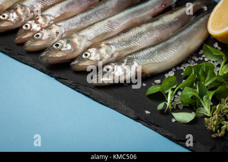 Frischen Fisch roch oder Sardinen für das Kochen mit Zitrone, Thymian bereit, und grobem Meersalz auf einem blauen Hintergrund. Das Konzept von Frische, gesunde Meeresfrüchte. top View Stockfoto