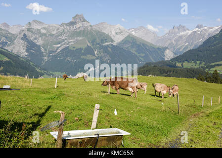 Ländliche Landschaft auf dem Dorf Engelberg in den Schweizer Alpen Stockfoto