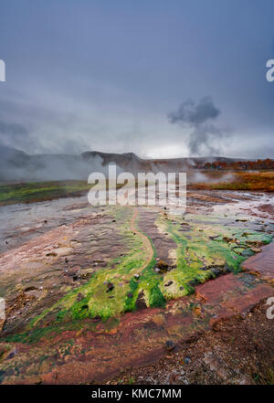 Geothermische Bereich der Geysir und Strokkur, Island Stockfoto