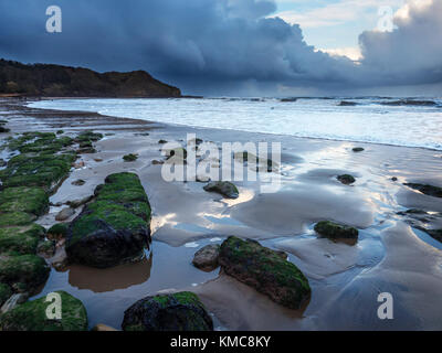 Algen bedeckten Felsen am Strand und Osgodby Punkt oder Knipe Punkt Cayton Bay Scarborough North Yorkshire England Stockfoto