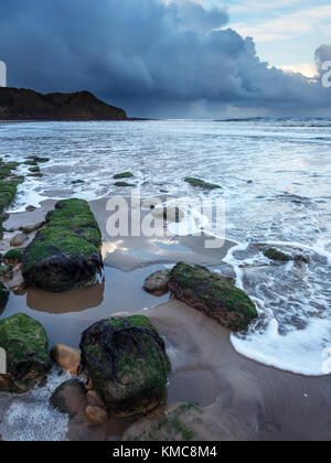 Algen bedeckten Felsen am Strand und Osgodby Punkt oder Knipe Punkt Cayton Bay Scarborough North Yorkshire England Stockfoto