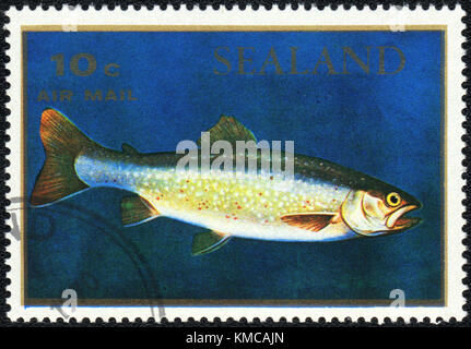 Ein Stempel im Fürstentum Sealand ausgedruckt zeigt eine Salmo salar, Serie, circa 1970 Stockfoto