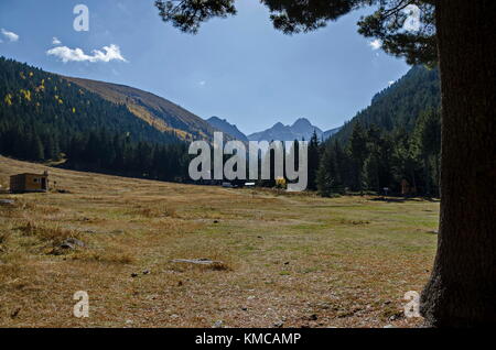 Bergwald mit Nadelholz, Laubholz und Glade, Richtung maliovitza Höhepunkt im Rila Gebirge, Bulgarien Stockfoto