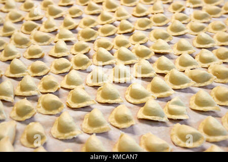 Eine Menge vorbereitet für das Kochen polnischen Teigtaschen auf Leinwand Stockfoto