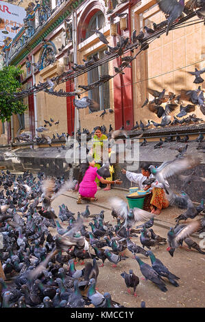 Yangon, Myanmar - 21 Oktober, 2017: Indischer passant Familie durch Hunderte von Tauben umgeben. Zwei Straßenhändler darauf warten, Sie taubenfutter zu verkaufen. Stockfoto