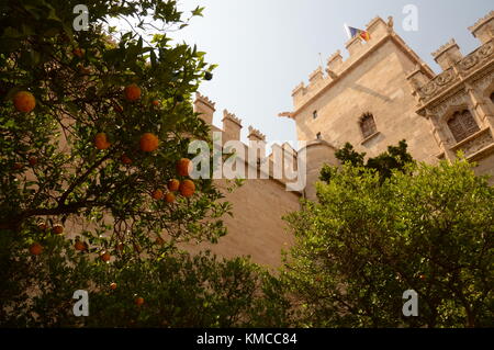 Stadt Valencia Spain-Ville de Valence en Espagne Stockfoto