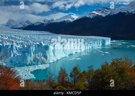 Der Gletscher Perito Moreno, Lenga Bäumen im Herbst, und die Touristen auf Gehweg, Parque Nacional Los Glaciares (World Heritage Area), Patagonien, Argentinien, Sout Stockfoto