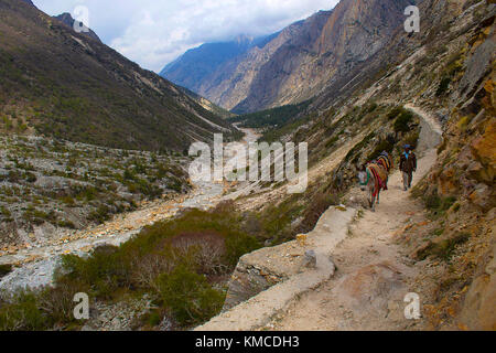 Mountain Pass in der Nähe von Gangotri Gletscher, Uttarakhand, Indien Stockfoto