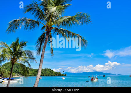 Wunderschöne tropische Kokosnuss Palmen bei Thailand Strand der Insel Samui, berühmten Urlaubsort Stockfoto