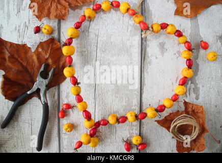 Herzförmige hausgemachte Bird Feeder umgearbeitet von flexiblen Draht, Garn und mit hat Holzäpfel und Hagebutten, Herbst mit Gewinde, Großbritannien Stockfoto