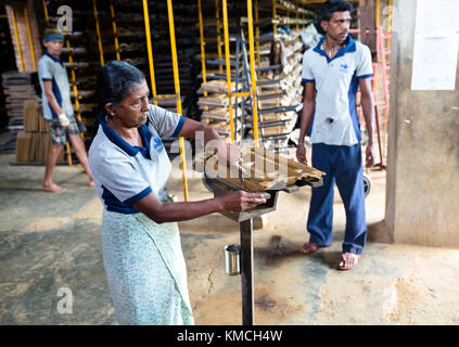 Tile factory Semuthu, Negombo Stockfoto