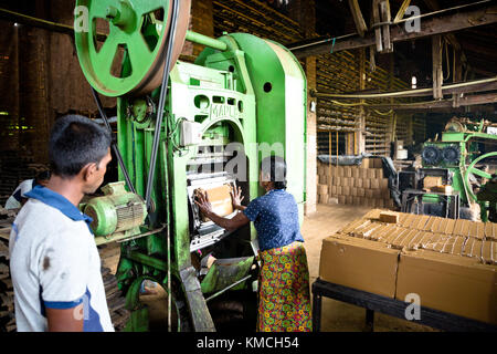 Tile factory Semuthu, Negombo Stockfoto