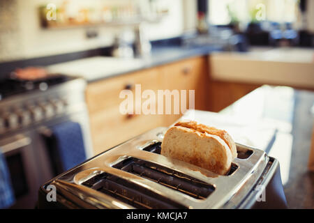 Toast im Toaster in der Küche Stockfoto