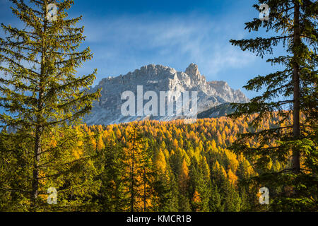 Die Dolomiten Bergkette mit Herbstfarben Farbe in der Nähe von belluno Auronzo di Cadore, Venetien, Norditalien, Europa. Stockfoto