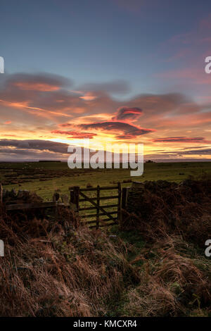 Teesdale, County Durham, UK. Mittwoch, 6. Dezember 2017. UK Wetter. Hirten Warnung Himmel und das Sammeln von gewitterwolken als Sturm Caroline Ansätze der nördlichen Hälfte des UK. Sturm Caroline wird erwartet Schottland morgen früh zu schlagen, Sturmwind von bis zu 80 mph. Quelle: David Forster/Alamy leben Nachrichten Stockfoto