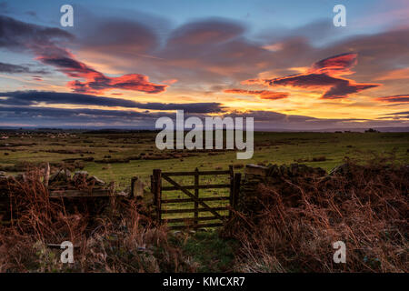 Teesdale, County Durham, UK. Mittwoch, 6. Dezember 2017. UK Wetter. Hirten Warnung Himmel und das Sammeln von gewitterwolken als Sturm Caroline Ansätze der nördlichen Hälfte des UK. Sturm Caroline wird erwartet Schottland morgen früh zu schlagen, Sturmwind von bis zu 80 mph. Quelle: David Forster/Alamy leben Nachrichten Stockfoto