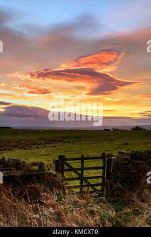 Teesdale, County Durham, UK. Mittwoch, 6. Dezember 2017. UK Wetter. Hirten Warnung Himmel und das Sammeln von gewitterwolken als Sturm Caroline Ansätze der nördlichen Hälfte des UK. Sturm Caroline wird erwartet Schottland morgen früh zu schlagen, Sturmwind von bis zu 80 mph. Quelle: David Forster/Alamy leben Nachrichten Stockfoto