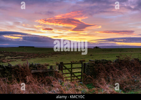 Teesdale, County Durham, UK. Mittwoch, 6. Dezember 2017. UK Wetter. Hirten Warnung Himmel und das Sammeln von gewitterwolken als Sturm Caroline Ansätze der nördlichen Hälfte des UK. Sturm Caroline wird erwartet Schottland morgen früh zu schlagen, Sturmwind von bis zu 80 mph. Quelle: David Forster/Alamy leben Nachrichten Stockfoto