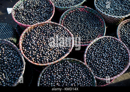 Macapa, Brasilien. November 2017. Körbe mit Acai-Beeren auf dem Markt in Macapa, Brasilien, 17. November 2017. Der Äquator zieht sich durch die Stadt Macapá, aber Messungen zeigen, dass er nicht die Mittellinie des berühmten „Äquator“ Zerao-Fußballstadions berührt. Quelle: Herbst Sonnichsen/dpa/Alamy Live News Stockfoto