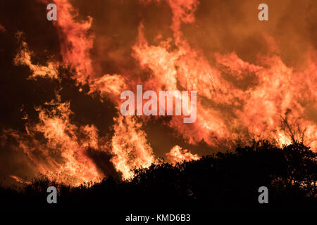 Ventura, USA. 6. Dezember 2017. die Feuerwehrleute kämpfen wildland Fire von Santa Ana Winde in Ventura, Kalifornien, USA. Credit: Kara capaldo/alamy Leben Nachrichten. Stockfoto