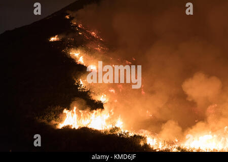 Ventura, USA. 6. Dezember 2017. die Feuerwehrleute kämpfen wildland Fire von Santa Ana Winde in Ventura, Kalifornien, USA. Credit: Kara capaldo/alamy Leben Nachrichten. Stockfoto