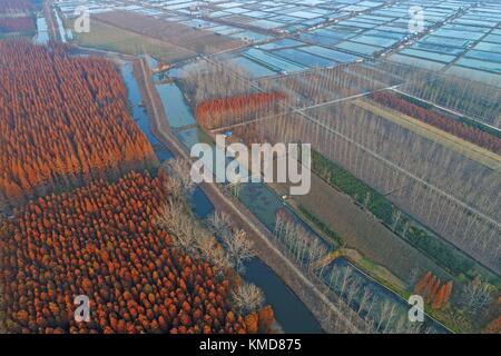 Suqian, suqian, China. 1. Dez, 2017. suqian, China - 1. Dezember 2017: (redaktionelle Verwendung. China). Luftaufnahmen von Redwood Forest, Suqian in der ostchinesischen Provinz Jiangsu, 1. Dezember 2017. Quelle: sipa Asien/zuma Draht/alamy leben Nachrichten Stockfoto