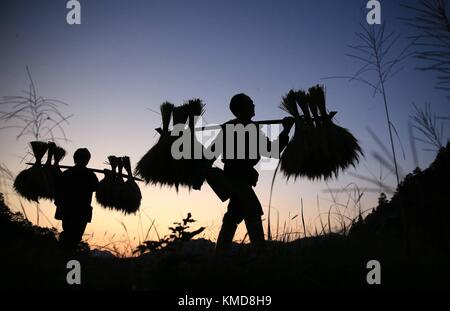 China. Dezember 2017. YANTAI, CHINA- 2017:(NUR FÜR REDAKTIONELLE VERWENDUNG. CHINA OUT) die Bauern sind in Yantai, der ostchinesischen Provinz Shandong, mit der Apfelernte beschäftigt. Quelle: SIPA Asia/ZUMA Wire/Alamy Live News Stockfoto