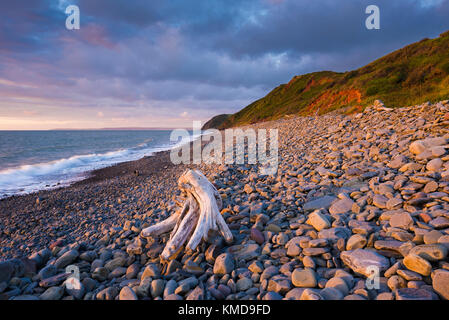 Der Strand von peppercombe auf der Heritage Coast North Devon, England. Stockfoto