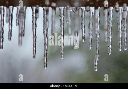 Winter Freeze - Kalt und schönen Kreationen aus der Natur Stockfoto