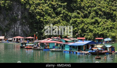 Schwimmende Dörfer am berühmten Halong Bucht, Golf von Tonkin Vietnam Asien Stockfoto