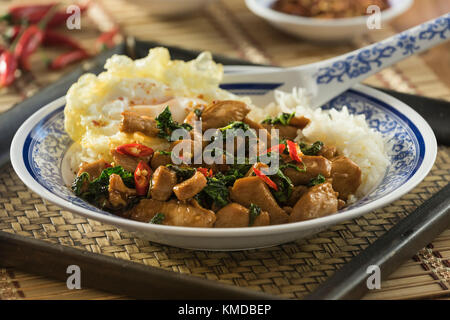 Thai basil Huhn. Pad kra-pao Gai. Thailand Essen Stockfoto