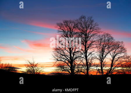 Baumsilhouetten bei Sunset über Otley mit Himmel in wunderschönen Rot- und Blautönen Stockfoto