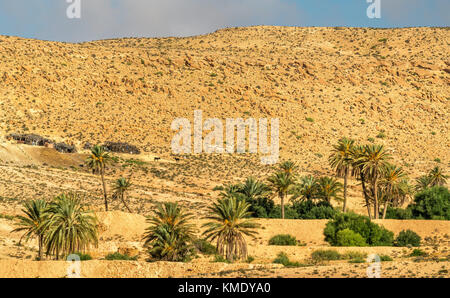 Typische tunesische Landschaft bei Ksar Ouled Soltane in der Nähe von tataouine Stockfoto