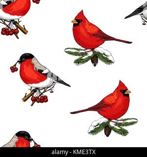 Nahtlose Muster Holly und Gimpel, Rote Kardinal, Vögel. frohe Weihnachten oder Weihnachten, Neujahr. winter Urlaub Dekoration. graviert Hand in alte Skizze und vintage Stil gezeichnet. Stock Vektor
