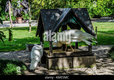 Isola Bella eine natürliche Schatz auch durch menschliche Eingriffe reicher gemacht; es war schon immer einer der beliebtesten Besucherattraktionen des Lago Maggiore. Stockfoto