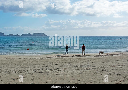 Mallorca, Balearen, Spanien - Februar 9, 2017: Ehepaar mit Hund im Winter Strand am 9. Februar 2017 auf Mallorca, Balearen, Spanien Stockfoto