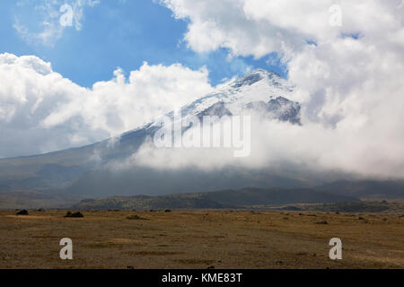 Mount Cotopaxi Vulkan Cotopaxi Nationalpark, Ecuador, Südamerika Stockfoto