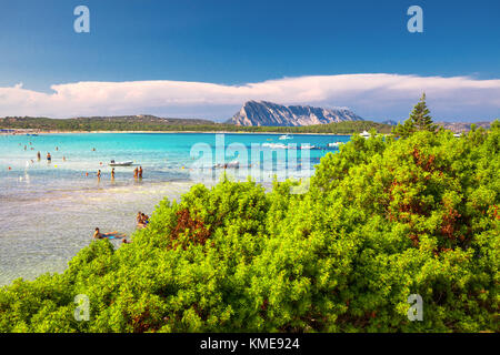 Lu Impostu Strand mit Isola Travolara im Hintergrund, Sardinien, Italien, Europa Stockfoto