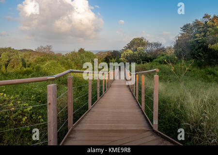 Zugang boardwalk Baia dos golfinhos (Delphine Bucht) - Fernando de Noronha, Pernambuco, Brasilien Stockfoto