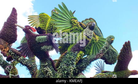 MOSAICULTURES INTERNATIONAL 2013 MONTREAL, Kanada, Juli 30 2013 : Ausstellung 'The Bird Tree'. Stockfoto