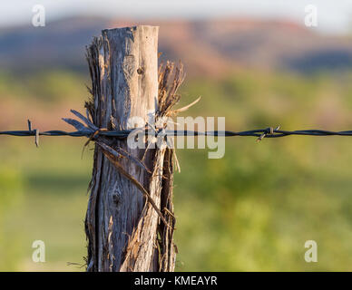 Cedar Zaunpfosten für Stacheldraht zaun in den Texas Pan Handle Stockfoto