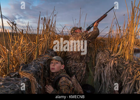 Vater und Sohn Entenjagd, Suisun Marsh, Suisun City, Kalifornien, USA Stockfoto