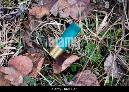 Eine leere feuerte 12 Gauge rifled Slug shotgun Shell auf den Adirondack Mountains Waldboden. Stockfoto