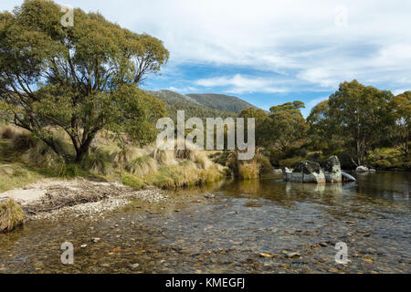 Die Thredbo River im Thredbo Diggings in Kosciuszko National Park in den Snowy Mountains im Süden von New South Wales. Stockfoto