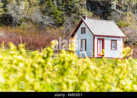 Alte Vintage White und roten Holzhaus Landhaus auf einem Hügel in idyllischer Landschaft, Garten im Hinterhof mit Brombeere, Himbeere, schwarze Johannisbeeren auf Bona Stockfoto