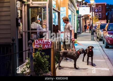 Bar Harbor, USA - Juni 8, 2017: Person mit Hunden Wandern auf Bürgersteig Straße von der Hauptstraße in der Innenstadt von Dorf am Abend Nacht, Pub Bar Stockfoto